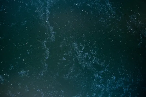 투어나버스 카지노 지원